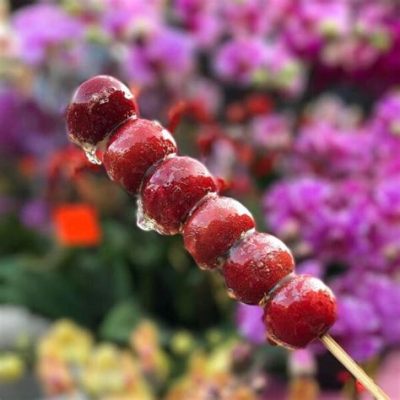  Candied Hawthorn Skewers: A Tangy Delight Combining Sweet and Sour Delights on a Stick?