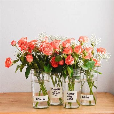 Does Keeping Flowers in the Refrigerator Make Them Last Longer or Turn Them Into Ice Sculptures?