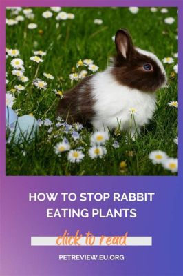 How to Keep Rabbits from Eating Flowers: A Whimsical Journey into Garden Defense