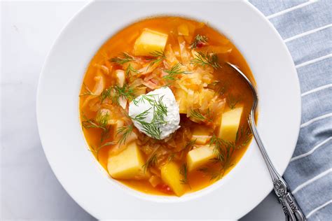  Shchi! A Hearty Russian Soup With Flavorful Depth and Refreshing Tanginess!