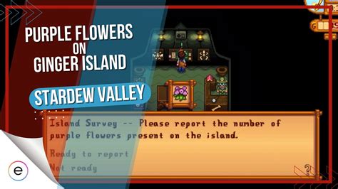 Stardew Valley How Many Purple Flowers: A Deep Dive into Floral Mysteries and Farming Strategies