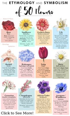 What Flowers Represent Rebirth: A Journey Through Symbolism and Renewal